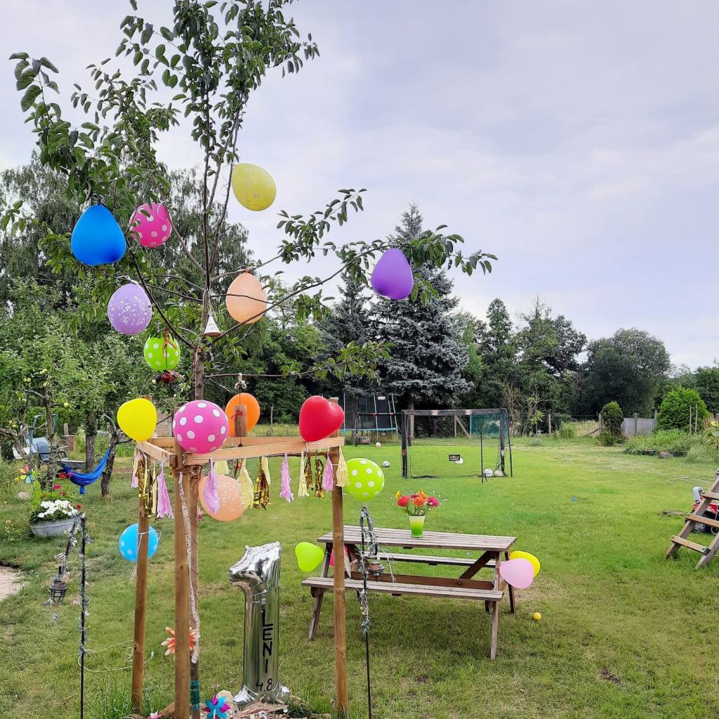 Zier-Apfel im Sommer im Garten