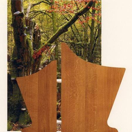 Grabholz Heide