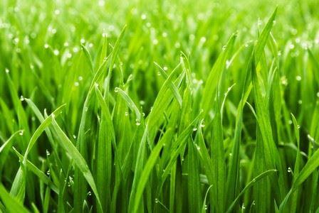 Bestattung Anonym Bestattung Anonym