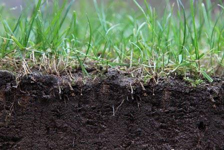 Bestattung Erde Bestattung Erde