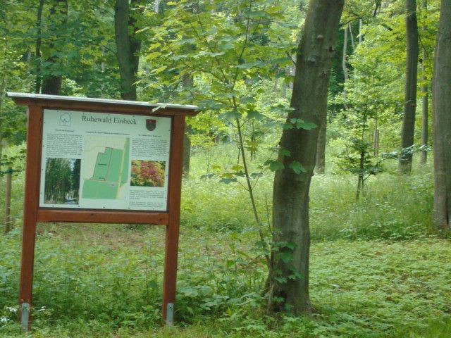 Informationsschild der Stadt Einbeck vor Bäumen und Grasflächen